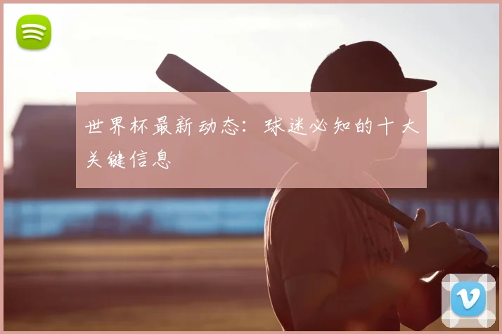 世界杯最新动态：球迷必知的十大关键信息