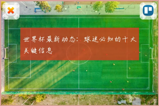 世界杯最新动态：球迷必知的十大关键信息