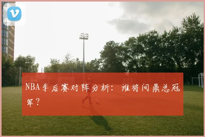 NBA季后赛对阵分析：谁将问鼎总冠军？